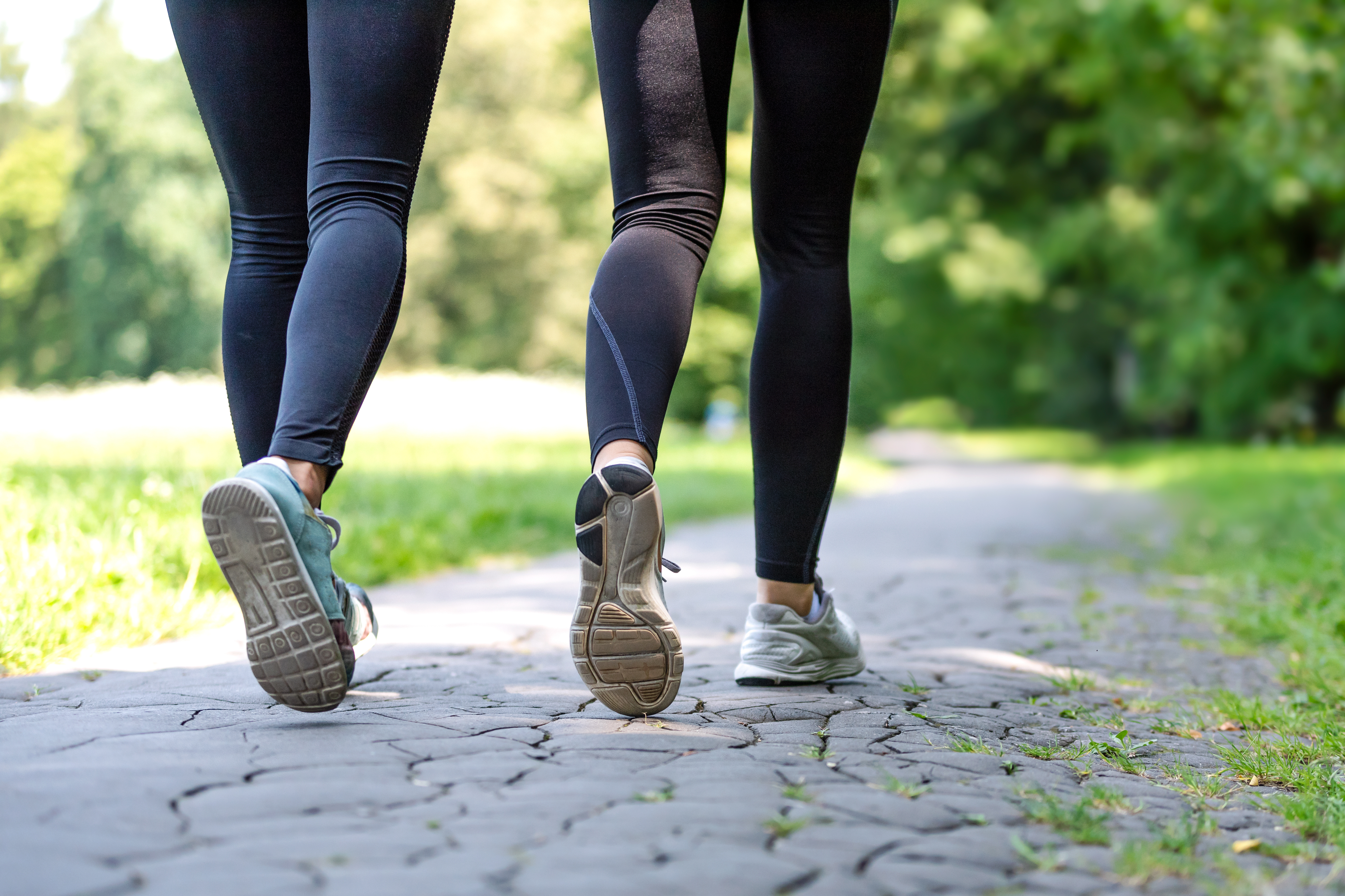 People Walking on Stone Trail