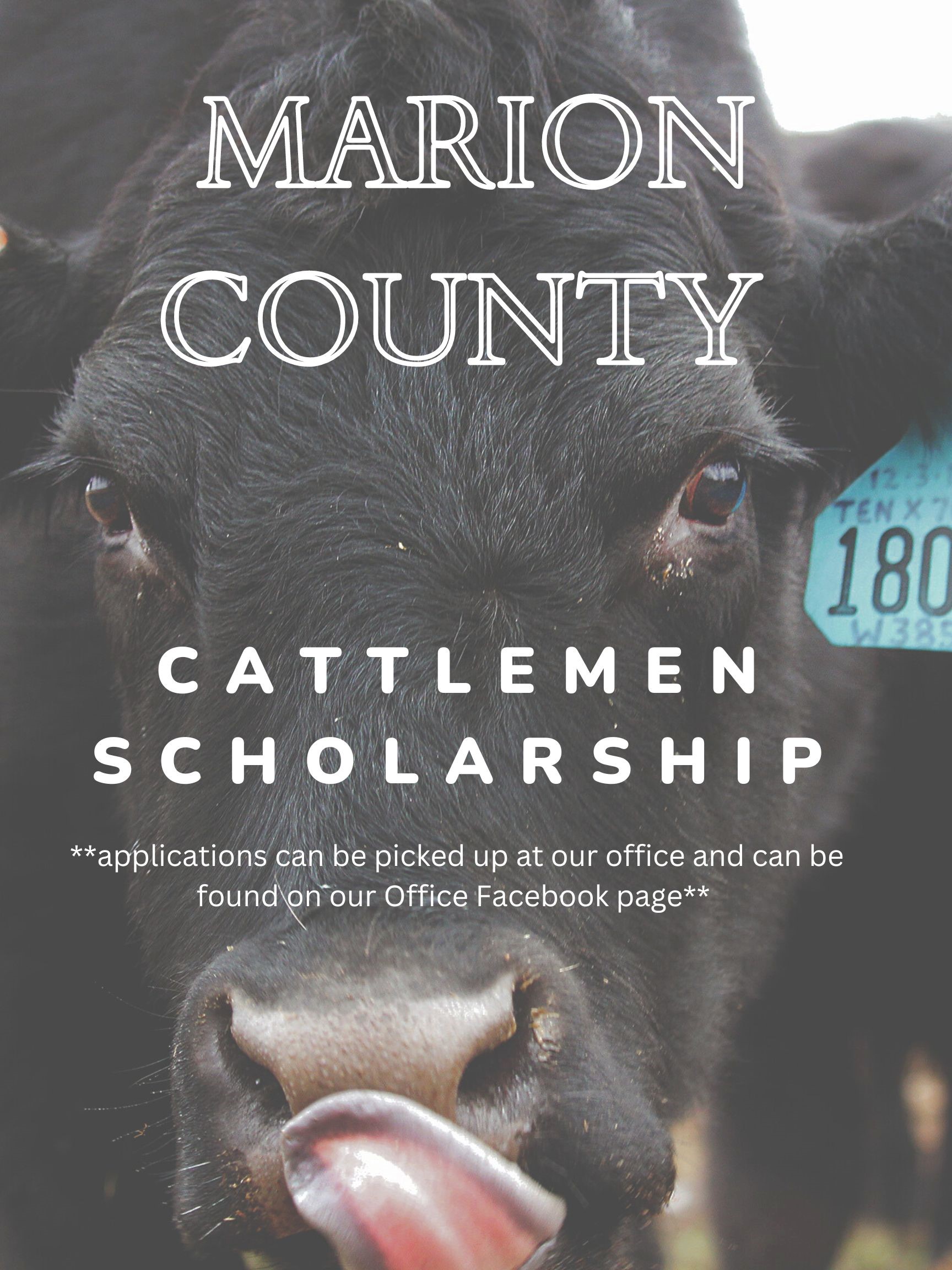 Cattlemen Scholarship