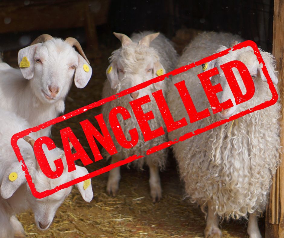 Cancelled Sheep & Goat
