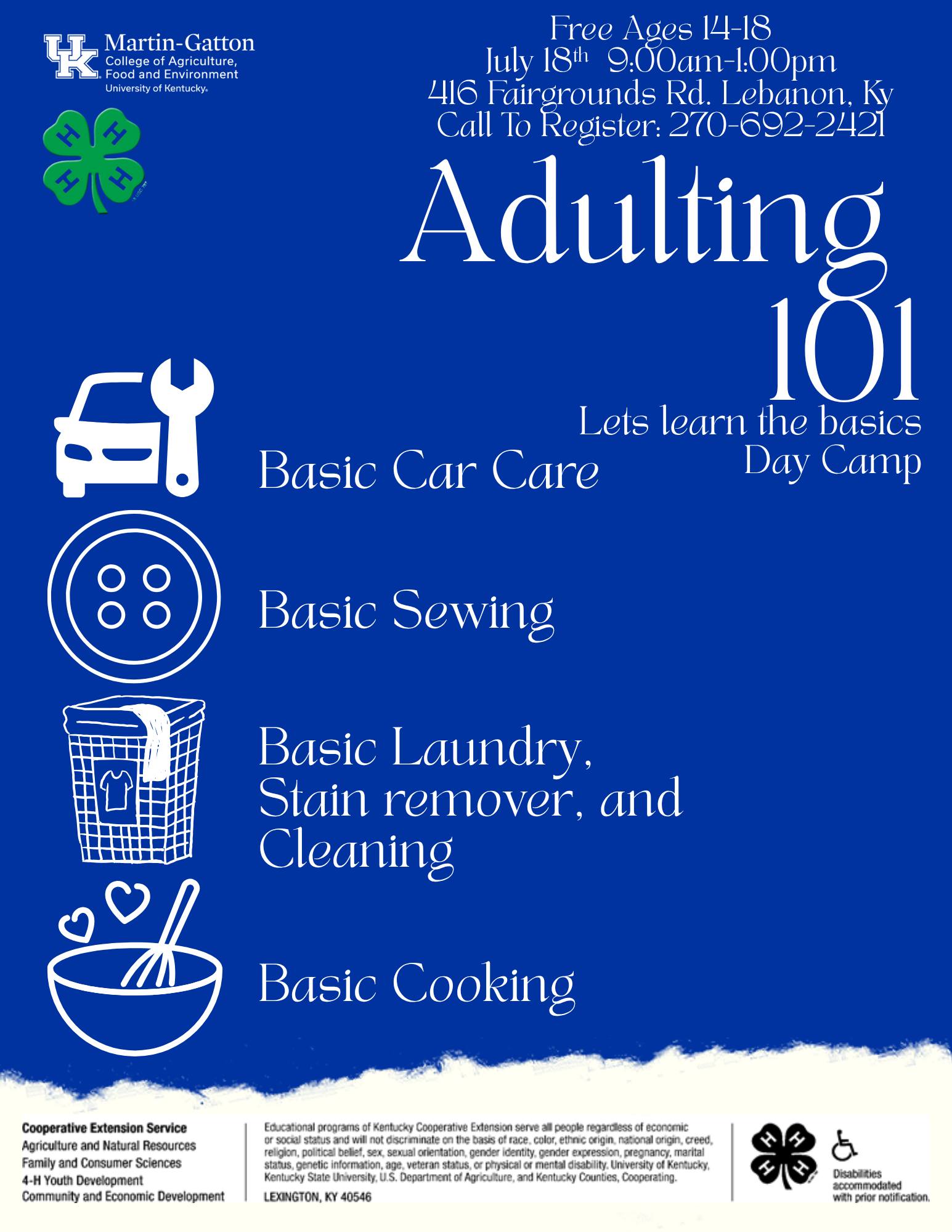 Adulting Day Camp