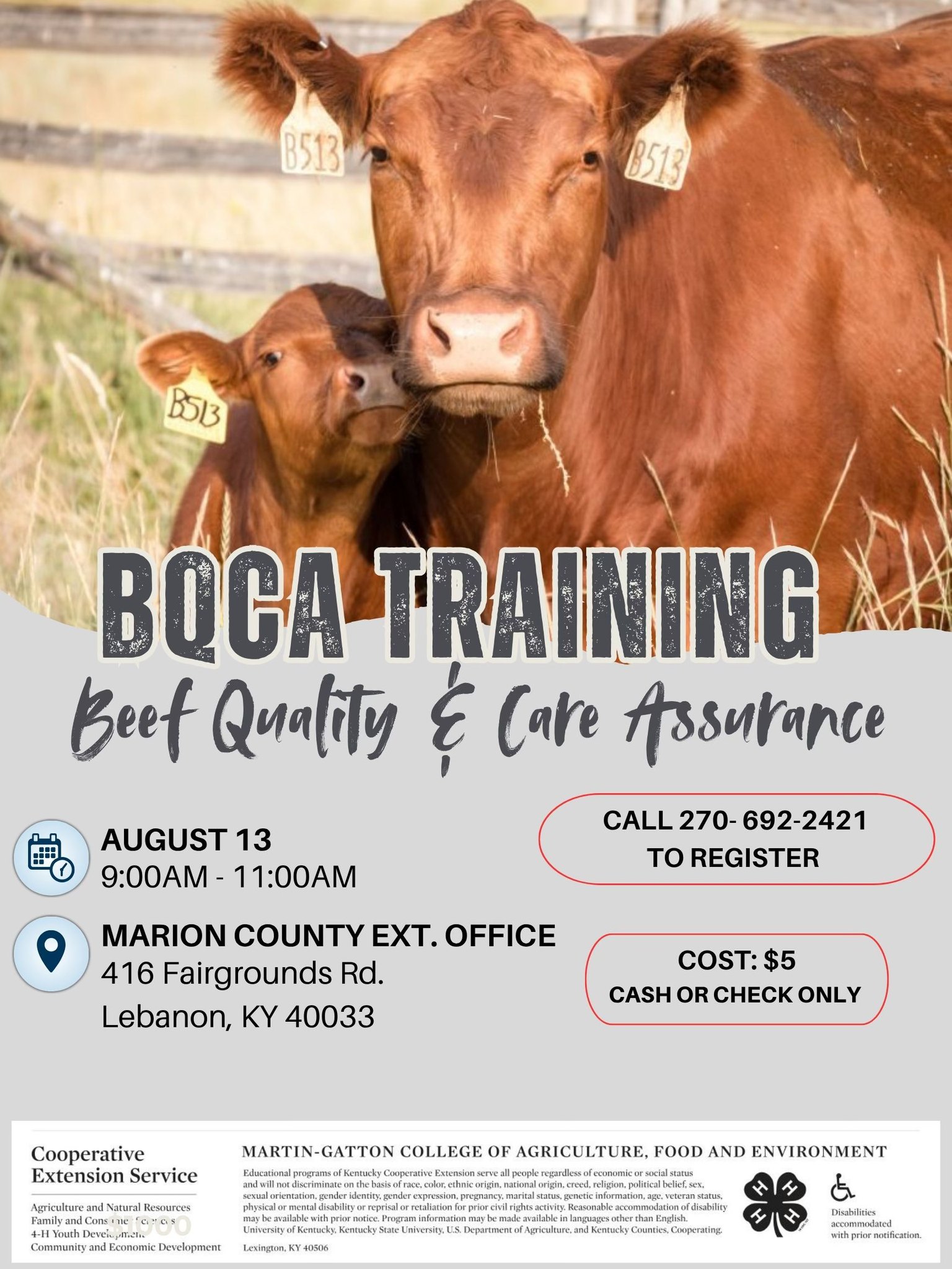 BQCA Training