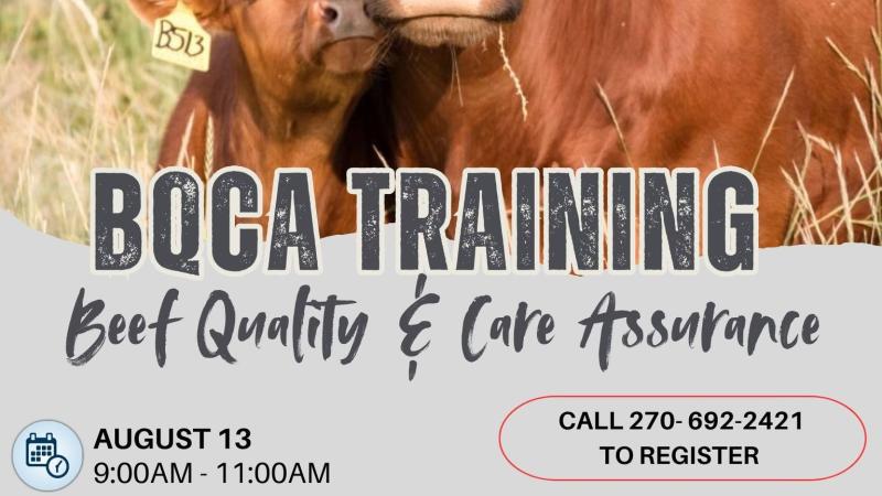 BQCA Training