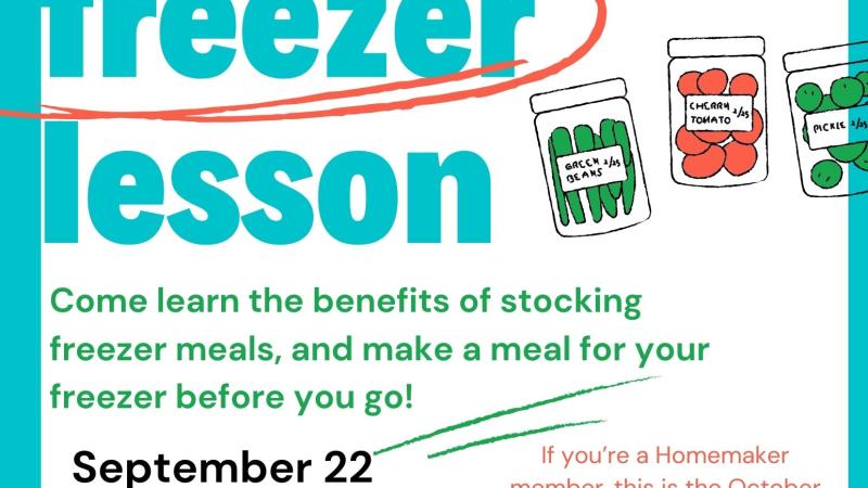 Stock the Freezer Lesson